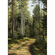 Набор для вышивки Gallery Stitch 011 Лето в лесу
