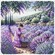 Набір для вишивання хрестиком AVA Perfume of Provence P031